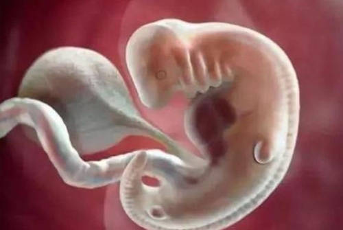 堕胎后婴灵究竟去了哪里？